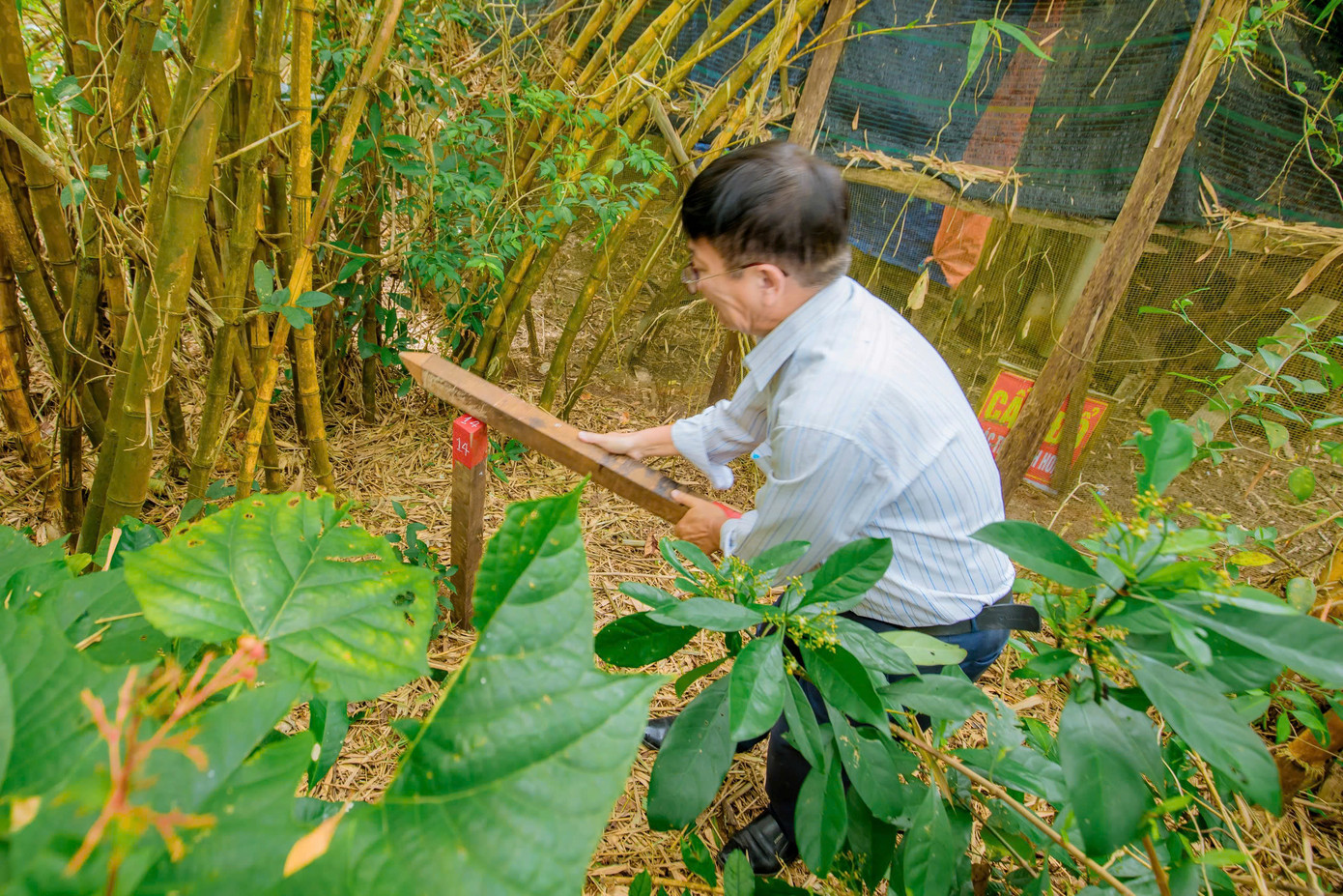 Công tác cắm mốc xác định ranh giới pháp lý của 16 di tích quan trọng nằm ngoài Kinh thành Huế.