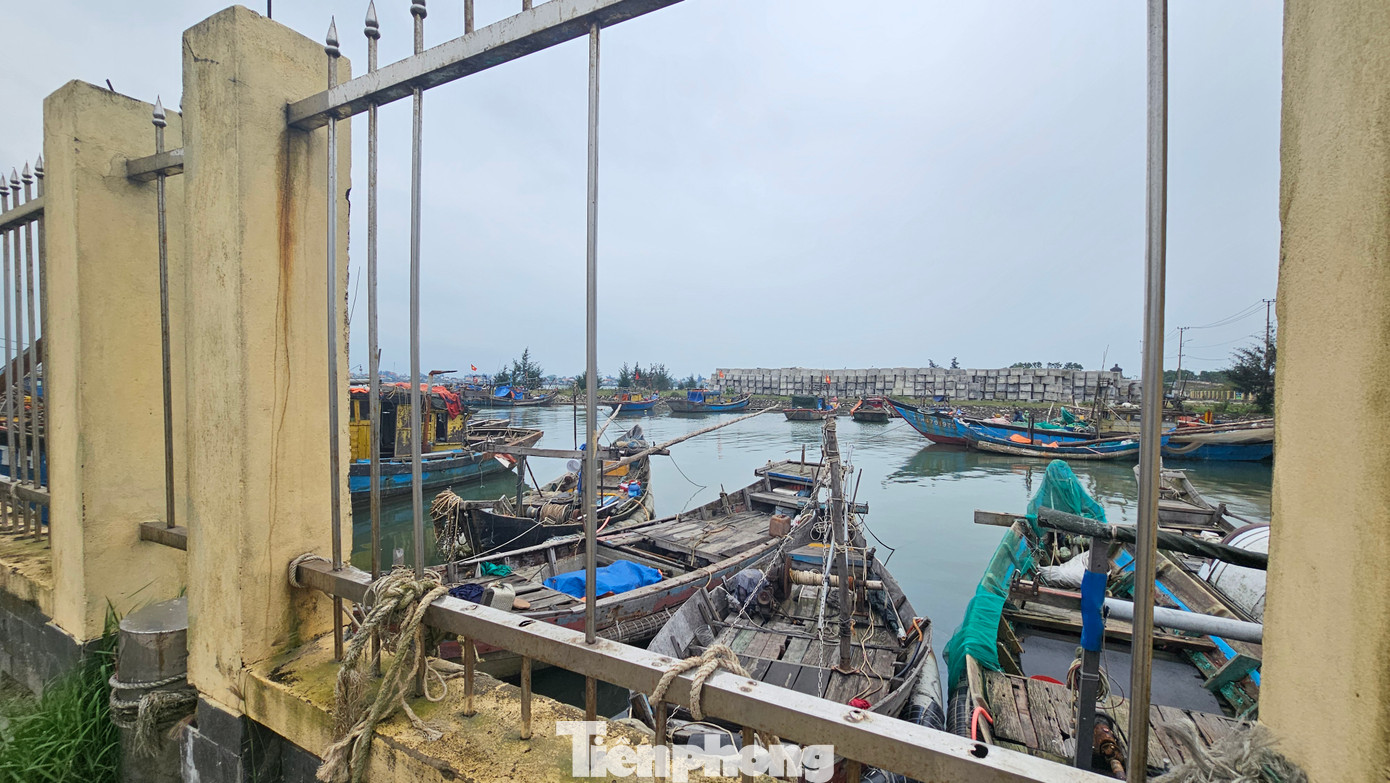 Các ngư dân đã cố tình cột dây neo tàu thuyền đánh cá vào các chấn song kim loại của hàng rào vốn chỉ dùng để giới hạn, bảo vệ người xâm nhập từ vào bên trong, gây hư hỏng nặng tại rất nhiều vị trí.