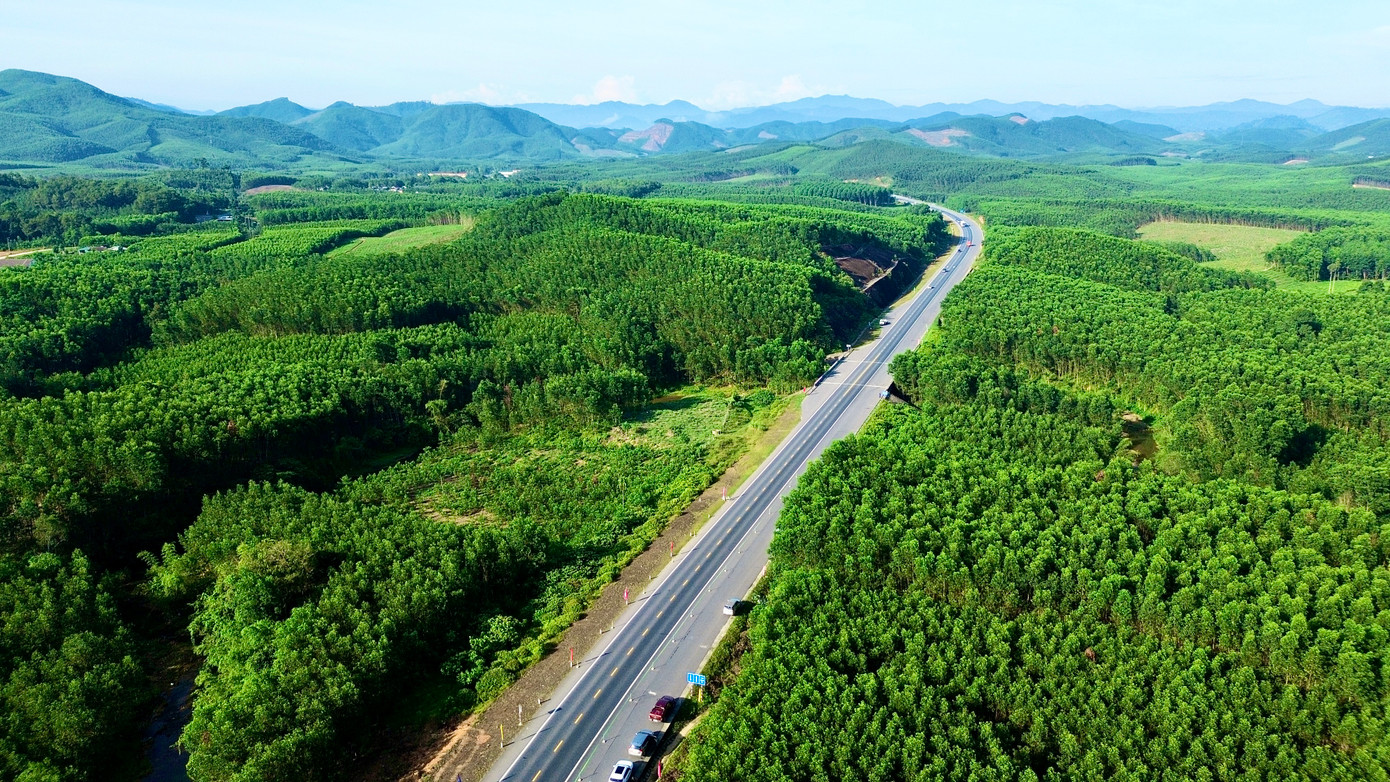 Theo Ban Quản lý Dự án đường Hồ Chí Minh, đến nay công tác giải phóng mặt bằng (GPMB) phục vụ thi công toàn tuyến theo đúng quy mô 4 làn xe đã cơ bản hoàn thành. Dự án sử dụng 458,84ha đất từ GPMB cũ, cần thu hồi bổ sung khoảng 10,28ha, nâng tổng diện tích mặt bằng phục vụ dự án lên 469,12ha.