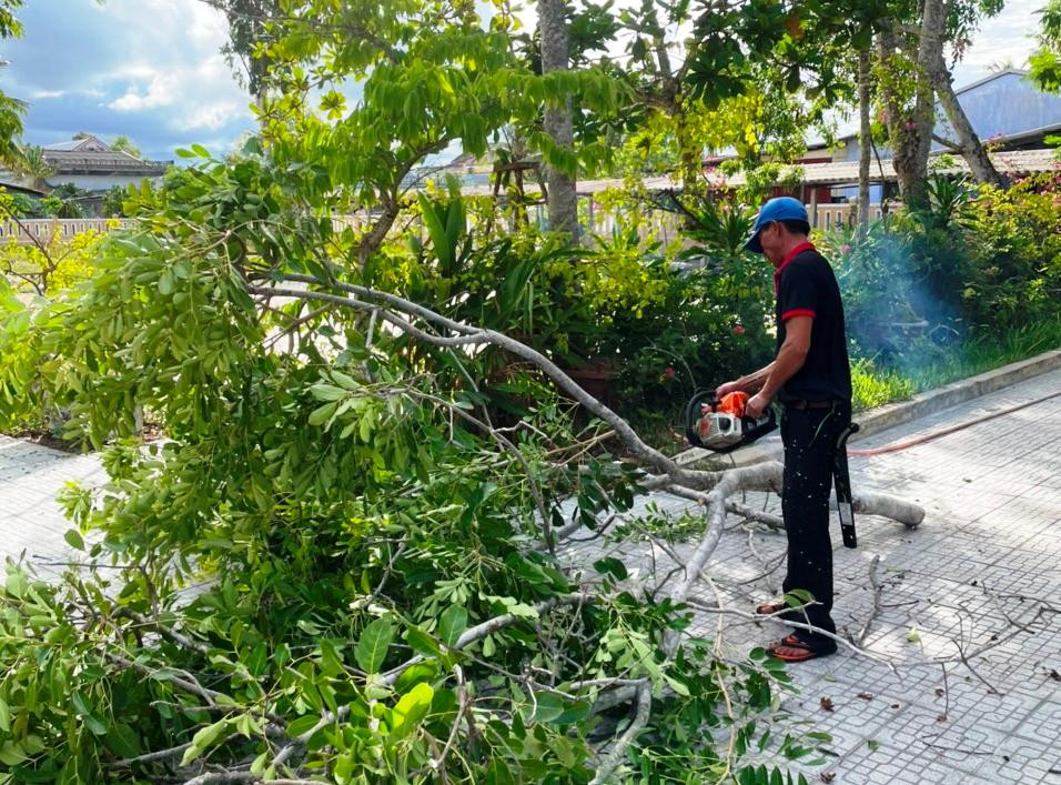 Cắt tỉa cây xanh đề phòng gãy đổ do bão tại huyện Phú Vang, TT-Huế