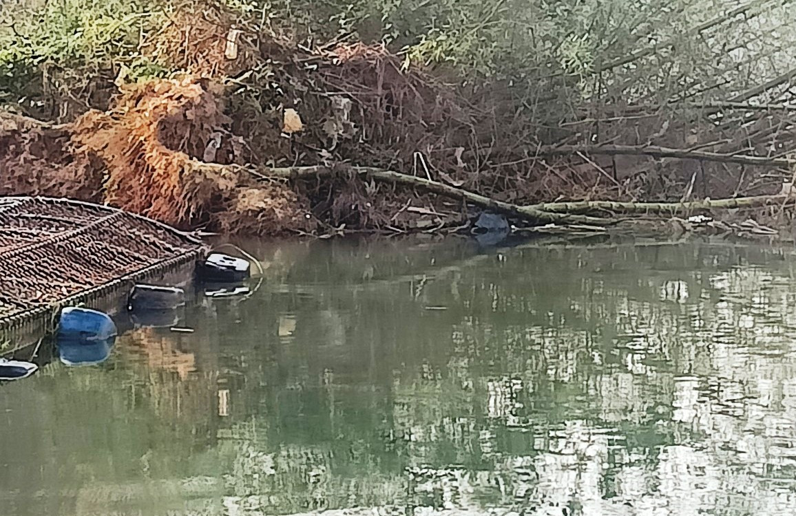 Sạt lở làm bật gốc hệ thống lũy tre bảo vệ dọc bờ sông Bồ qua huyện Quảng Điền. Sạt lở làm bật gốc hệ thống lũy tre bảo vệ dọc bờ sông Bồ qua huyện Quảng Điền.