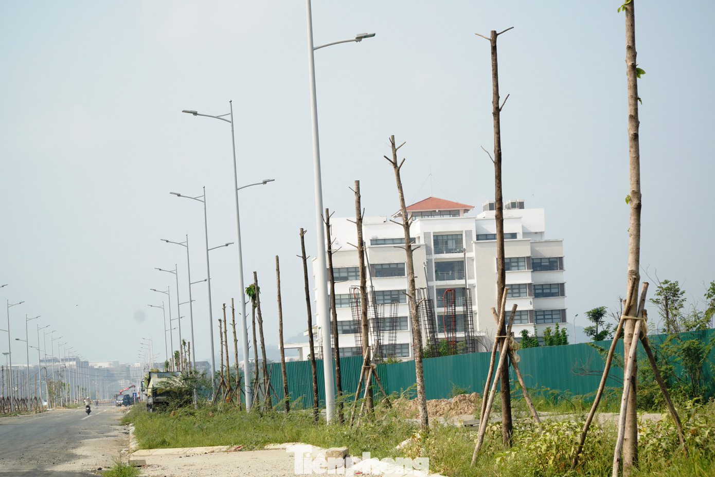 Sau một thời gian nhà thầu triển khai trồng, chăm sóc, hàng loạt cây dầu rái trở nên khô héo, kém phát triển, chết hàng loạt. Sau một thời gian nhà thầu triển khai trồng, chăm sóc, hàng loạt cây dầu rái trở nên khô héo, kém phát triển, chết hàng loạt.