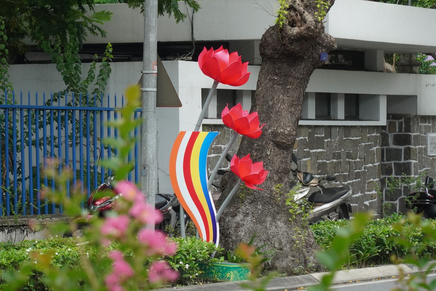 Trên các trục đường chính của TP. Huế, BTC Đại lễ Phật đản PL 2568 tỉnh TT-Huế đã cho thiết trí nhiều cụm hoa sen màu đỏ tím lạ tinh tế, bắt mắt.