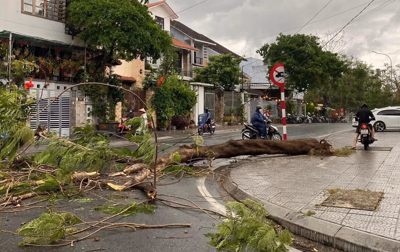 Cây xanh tại TP. Huế bị gió lốc quật đổ. Ảnh: Hà Nguyên Cây xanh tại TP. Huế bị gió lốc quật đổ. Ảnh: Hà Nguyên