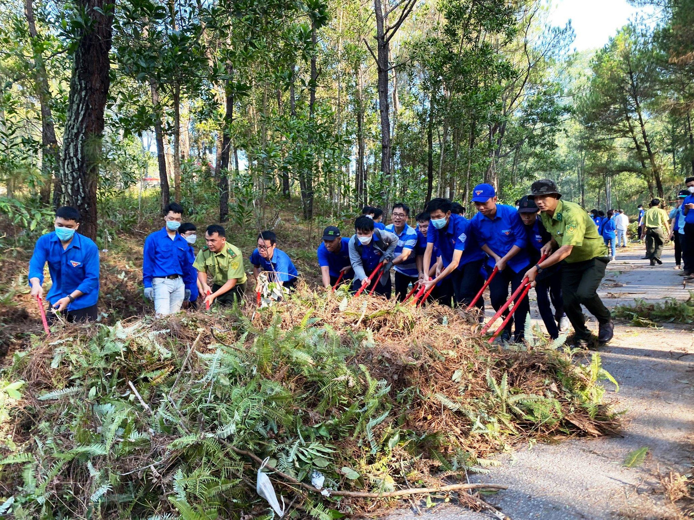 Đoàn viên, thanh niên TP Huế ra quân phát quang và thu gom thực bì phòng chống cháy rừng thông cảnh quan. Ảnh: Th.Đ.Huế Đoàn viên, thanh niên TP Huế ra quân phát quang và thu gom thực bì phòng chống cháy rừng thông cảnh quan. Ảnh: Th.Đ.Huế