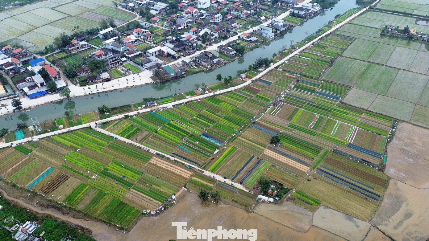 Quảng Thành nằm ở hạ lưu sông Bồ, với nguồn phù sa dồi dào từ sông nước bồi đắp mỗi năm để cây lá luôn tốt tươi, đó như là món quà từ thiên nhiên ban tặng cho vựa rau sạch lớn nhất Huế.