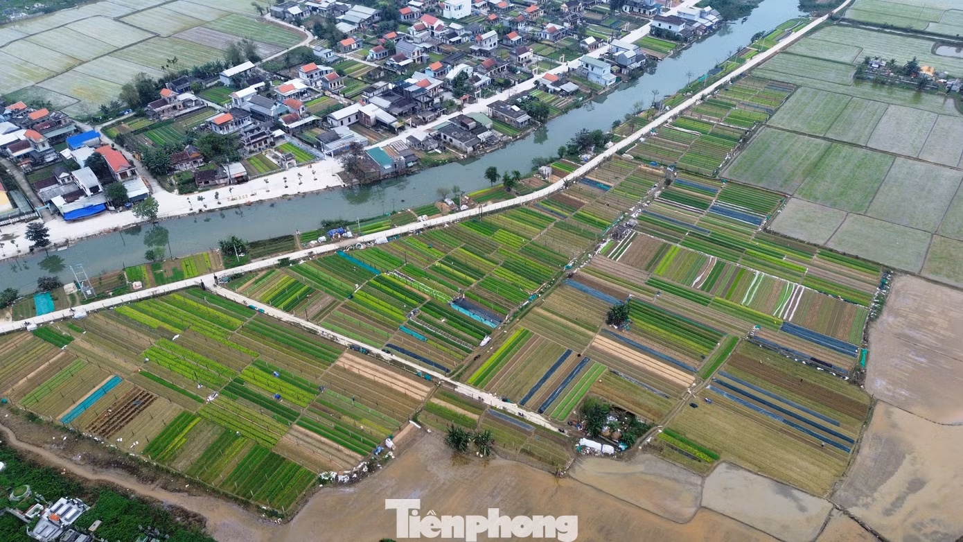 Quảng Thành nằm ở hạ lưu sông Bồ, với nguồn phù sa dồi dào từ sông nước bồi đắp mỗi năm để cây lá luôn tốt tươi, đó như là món quà từ thiên nhiên ban tặng cho vựa rau sạch lớn nhất Huế.