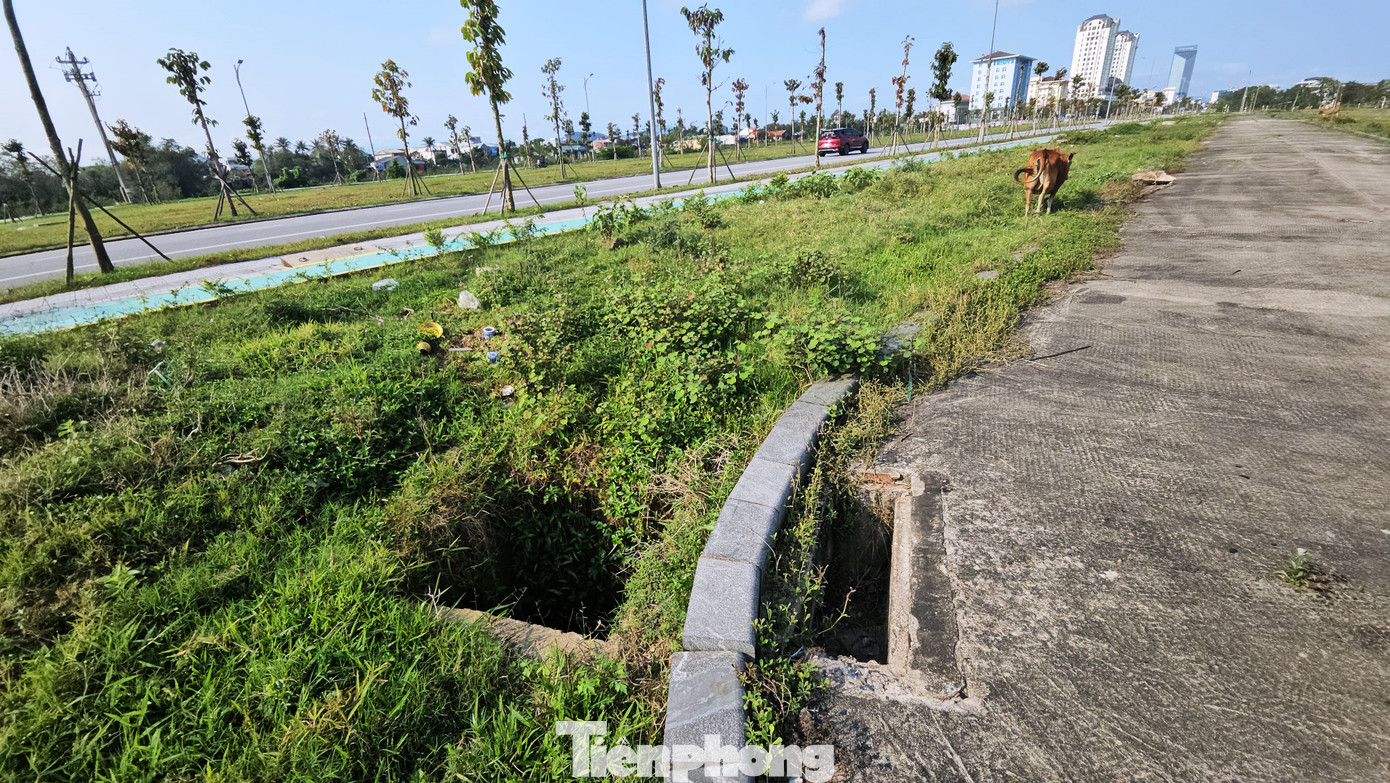 Dù công trình đã được bàn giao một phần các hạng mục từ BQLDA Green City Huế sang BQLDA Đầu tư xây dựng và Phát triển đô thị TP Huế, nhưng hạ tầng kỹ thuật vẫn chưa hoàn thiện. Dù công trình đã được bàn giao một phần các hạng mục từ BQLDA Green City Huế sang BQLDA Đầu tư xây dựng và Phát triển đô thị TP Huế, nhưng hạ tầng kỹ thuật vẫn chưa hoàn thiện.