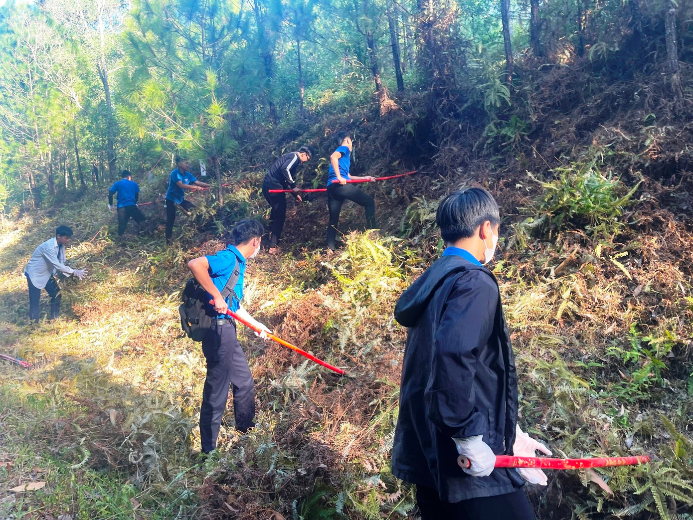 Hoạt động giảm nguy cơ cháy rừng của tuổi trẻ TP Huế. Ảnh: TĐ Huế