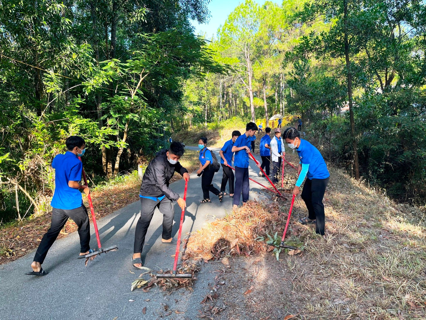 Đoàn viên, thanh niên TP Huế đã thực hiện phát quang và thu gom thực bì, lá cây khô là tác nhân dễ cháy ra khỏi rừng thông cảnh quan. Ảnh: TĐ Huế