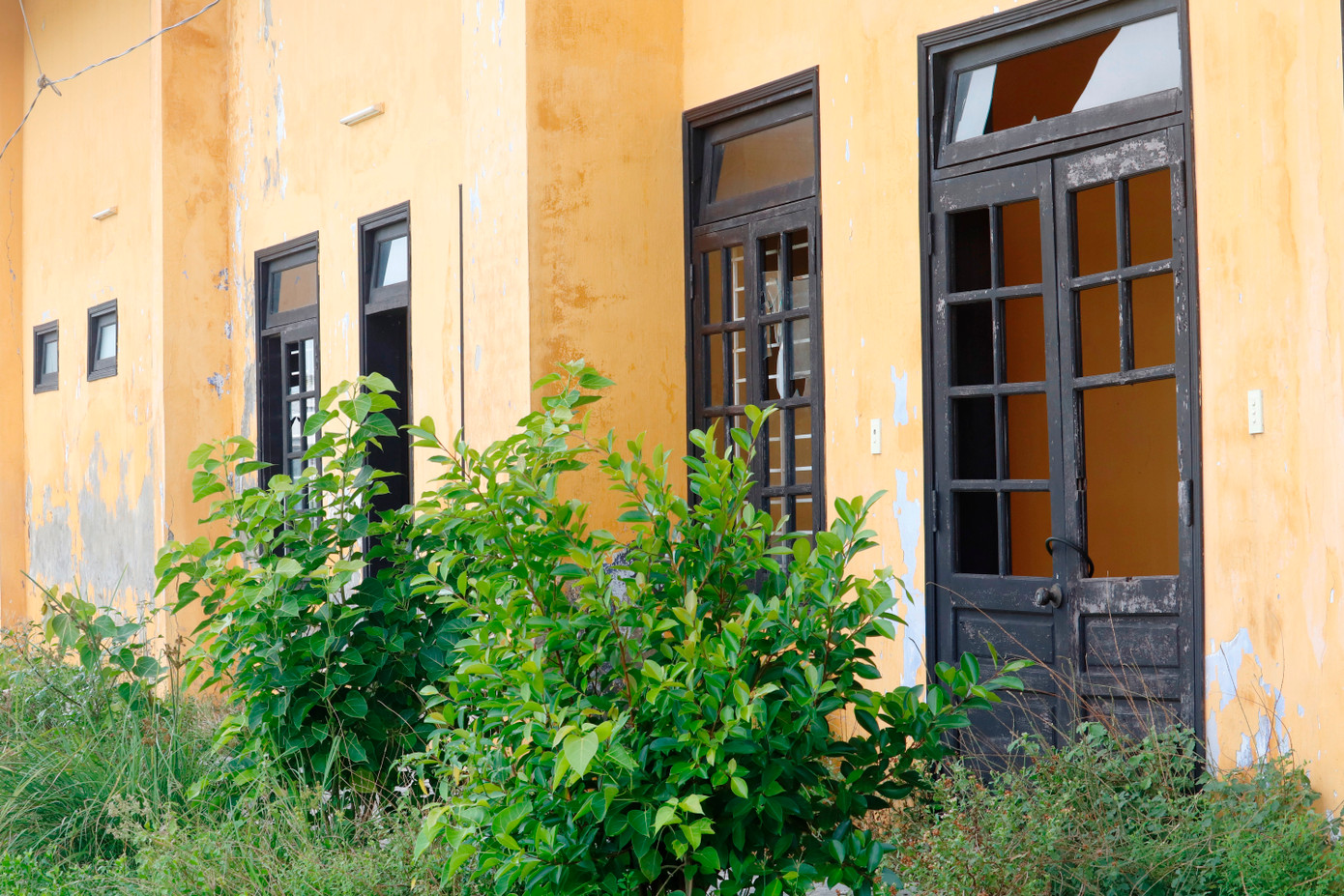 Khu nhà điều hành xuống cấp, lối vào phủ rậm cỏ dại, bên trong đầy rác bẩn, cửa kính bị vỡ nát, trụ đỡ bị nứt, tường bong tróc nhiều mảng…