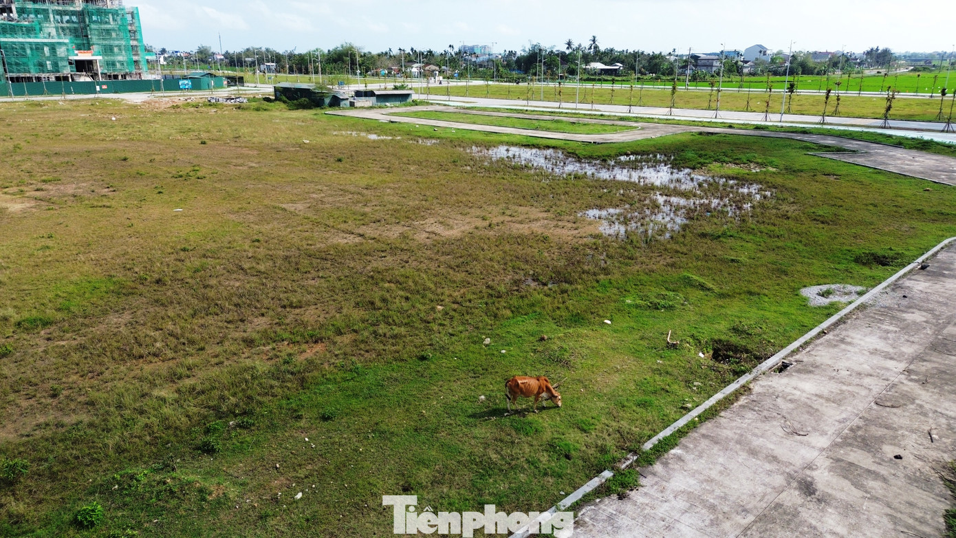 Tuy nhiên, do bất cập trong khâu quản lý, khu quảng trường, công viên cây xanh khu trung tâm hành chính TP Huế hiện trở nên nhếch nhác, cây dại mọc lan nhiều nơi, thảm cỏ đọng nước sình lầy. Tuy nhiên, do bất cập trong khâu quản lý, khu quảng trường, công viên cây xanh khu trung tâm hành chính TP Huế hiện trở nên nhếch nhác, cây dại mọc lan nhiều nơi, thảm cỏ đọng nước sình lầy.