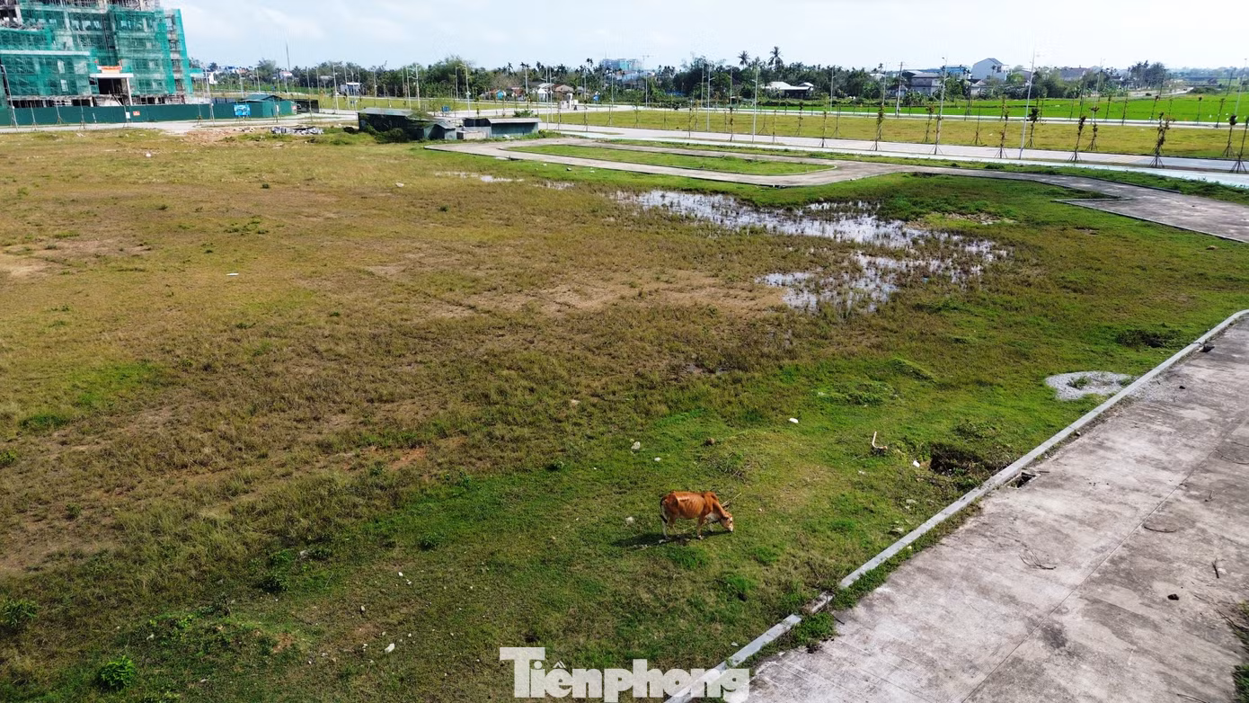 Tuy nhiên, do bất cập trong khâu quản lý, khu quảng trường, công viên cây xanh khu trung tâm hành chính TP Huế hiện trở nên nhếch nhác, cây dại mọc lan nhiều nơi, thảm cỏ đọng nước sình lầy. Tuy nhiên, do bất cập trong khâu quản lý, khu quảng trường, công viên cây xanh khu trung tâm hành chính TP Huế hiện trở nên nhếch nhác, cây dại mọc lan nhiều nơi, thảm cỏ đọng nước sình lầy.