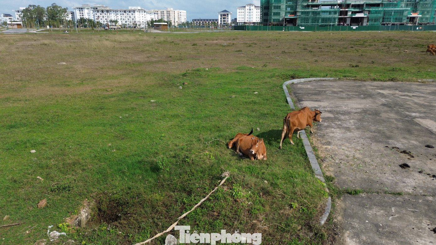 Nơi đây hiện còn được người dân địa phương dùng làm bãi chăn thả gia súc. Nơi đây hiện còn được người dân địa phương dùng làm bãi chăn thả gia súc.