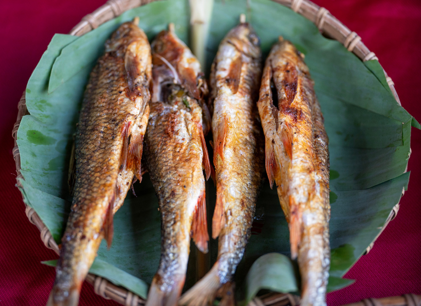 Tại đây, hàng trăm món ăn đặc trưng của ba miền Bắc - Trung - Nam được chế biến, “trình diễn” và phục vụ trực tiếp thực khách bởi các nghệ nhân, đầu bếp đến từ Quảng Ninh, Quảng Bình, Quảng Trị, Đà Nẵng, Quảng Nam, Lâm Đồng, Đồng Nai, Đắk Nông… Ảnh: L.H.H.Hải