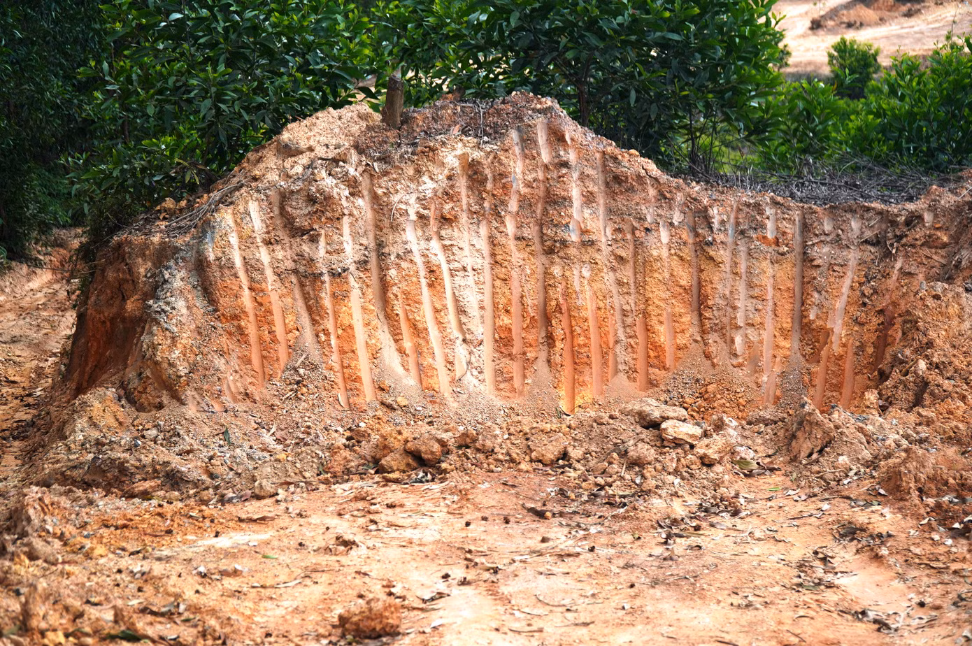 Tại “đại công trường” đất lậu, có hàng chục nghìn mét khối đất đồi làm vật liệu san lấp bị chở đi nơi khác, để lại những hầm hố, vách đất lộ thiên gây nguy cơ sạt lở, uy hiếp an toàn giao thông trên tuyến tỉnh lộ 15.