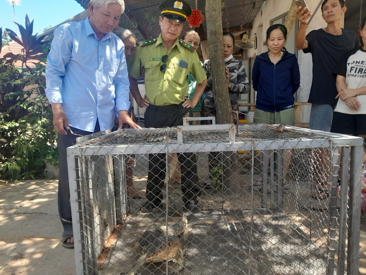 Cơ quan kiểm lâm tiếp nhận cá thể kỳ đà hoa quý hiếm do người dân giao nộp. Cơ quan kiểm lâm tiếp nhận cá thể kỳ đà hoa quý hiếm do người dân giao nộp.