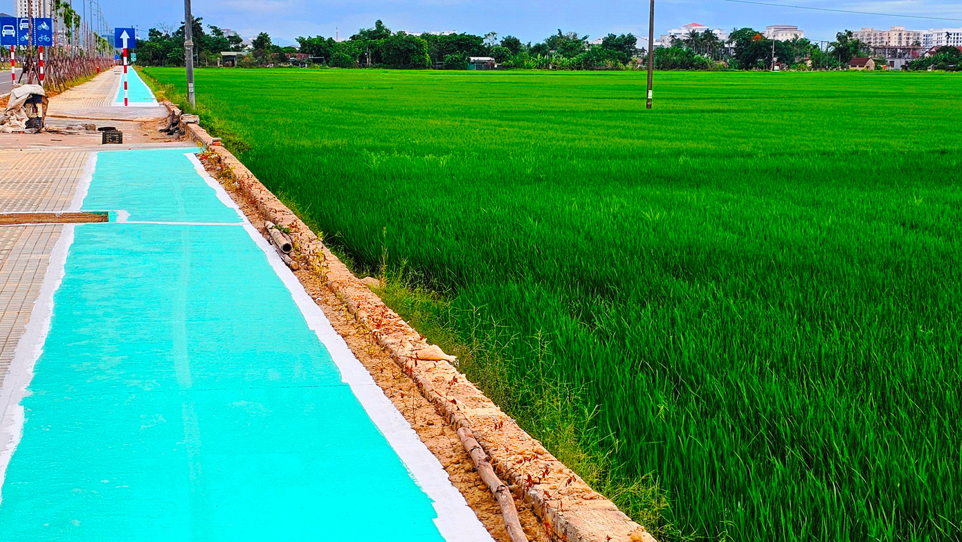 Vỉa hè xanh chạy qua những cánh đồng xanh thuộc phường An Đông, TP. Huế. Vỉa hè xanh chạy qua những cánh đồng xanh thuộc phường An Đông, TP. Huế.