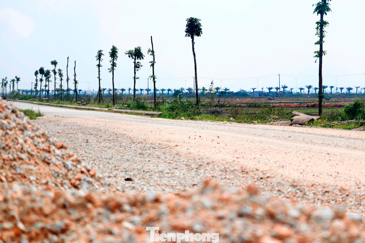 Tuy nhiên, với thực trạng công trường vắng hoe, vắng ngắt như hiện nay, tiến độ thực tế liệu có đảm bảo theo như cam kết “trên giấy” của nhà thầu vẫn là dấu hỏi lớn.