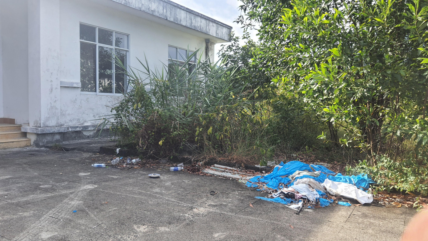 Lau lách, cây đót xâm nhập vào tận vách tường khu nhà chức năng thuộc bệnh viện, phía ngoài là rác thải ùn đống. Ảnh: N.V