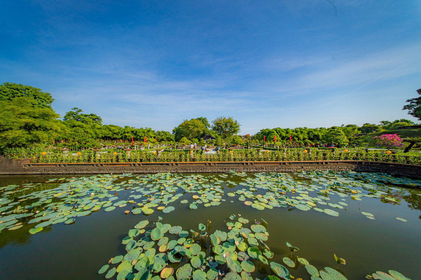 Theo ông Hoàng Việt Trung - Giám đốc Trung tâm Bảo tồn Di tích Cố đô Huế, triển lãm cây kiểng và hoa phong lan ba miền tại các kỳ Festival Huế tại vườn Cơ Hạ và Thiệu Phương như là một sự tái hiện về hình ảnh của một khu vườn thượng uyển hoàng gia - kiệt tác của vườn cung đình xưa. Ảnh: Bảo Minh. Theo ông Hoàng Việt Trung - Giám đốc Trung tâm Bảo tồn Di tích Cố đô Huế, triển lãm cây kiểng và hoa phong lan ba miền tại các kỳ Festival Huế tại vườn Cơ Hạ và Thiệu Phương như là một sự tái hiện về hình ảnh của một khu vườn thượng uyển hoàng gia - kiệt tác của vườn cung đình xưa. Ảnh: Bảo Minh.