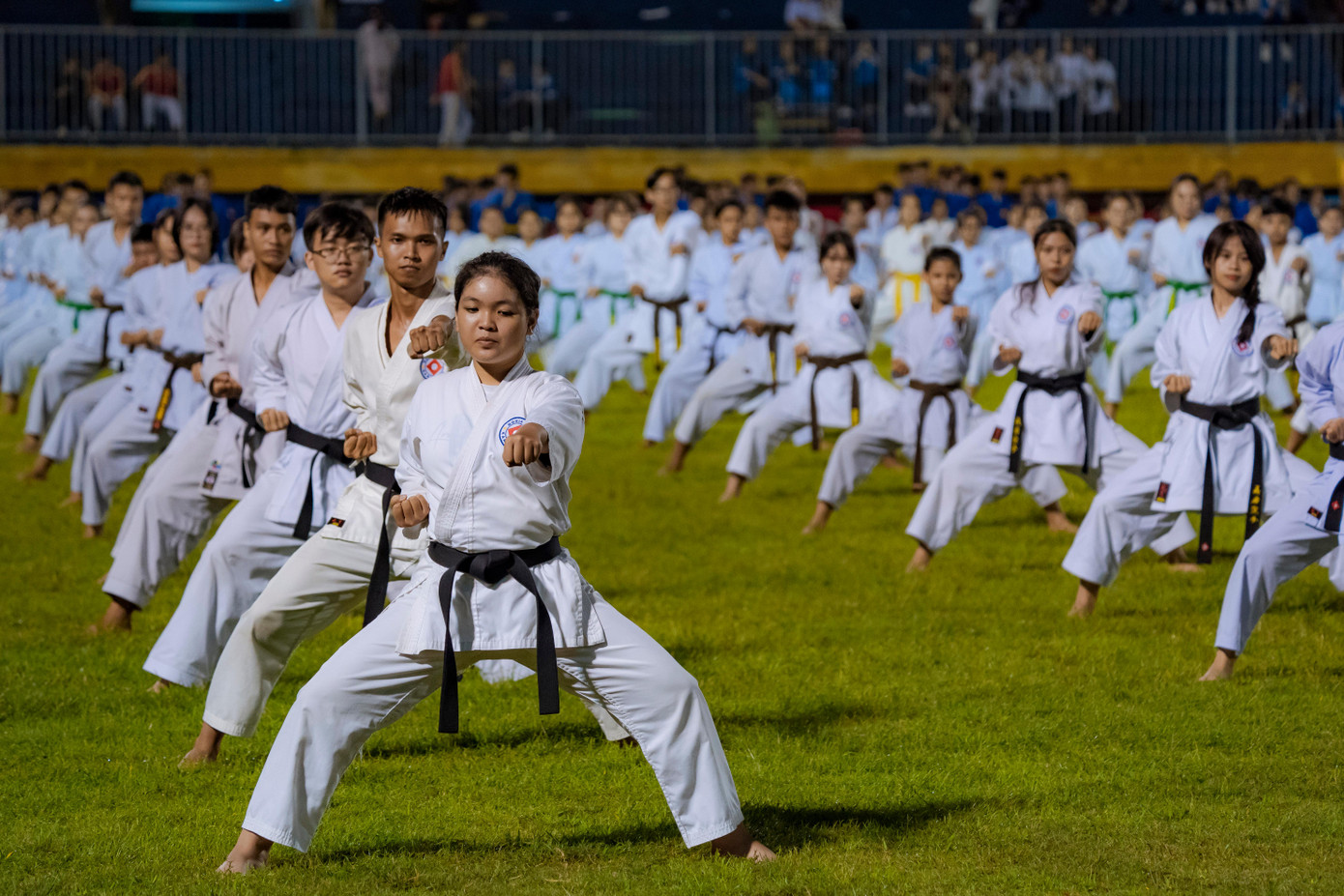 Biểu diễn võ thuật. Ảnh: Lê Đình Hoàng Biểu diễn võ thuật. Ảnh: Lê Đình Hoàng