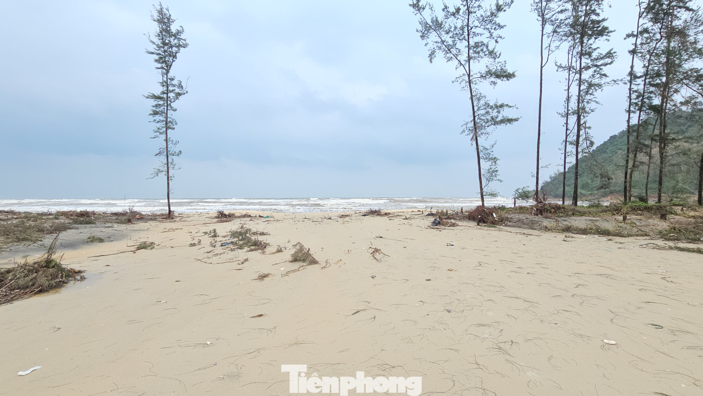 Rừng phòng hộ bị thu hẹp nhanh chóng khiến sóng biển, triều cường dâng cao luôn có nguy cơ xé toang cồn cát ngăn cách, mở lạch biển mới xâm nhập vào tận ruộng đồng.