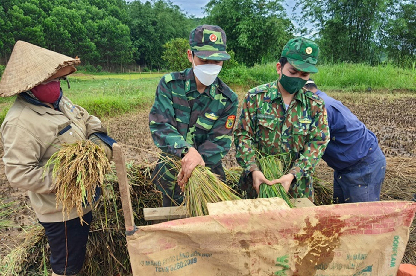 ĐVTN Biên phòng TT-Huế tham gia gặt, tuốt đập lúa giúp dân vùng cao biên giới A Lưới. Ảnh: Võ Tiến ĐVTN Biên phòng TT-Huế tham gia gặt, tuốt đập lúa giúp dân vùng cao biên giới A Lưới. Ảnh: Võ Tiến