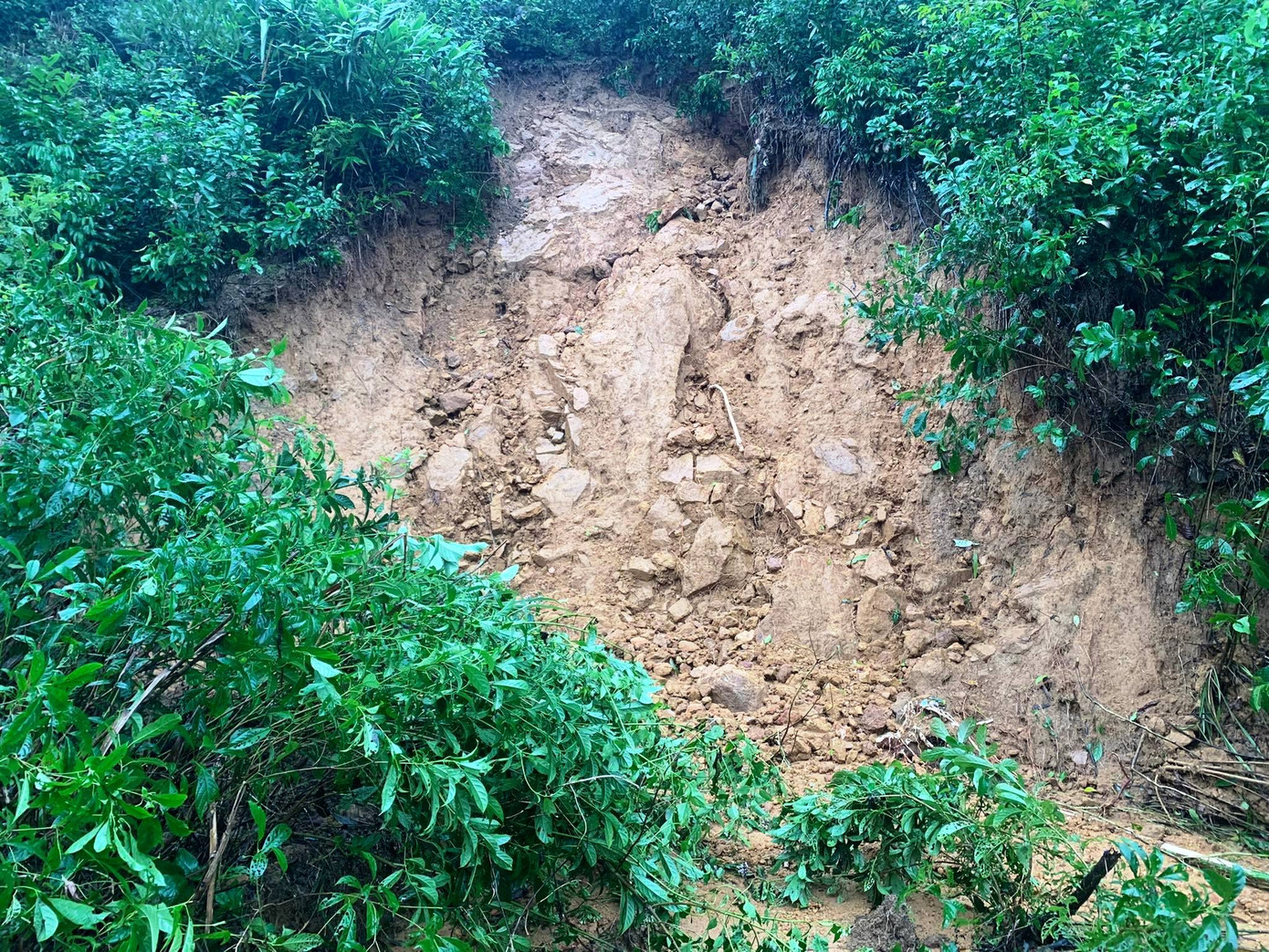 Cảnh báo sạt lở núi Phú Gia, khu vực gần Quốc lộ 1 qua huyện Phú Lộc.