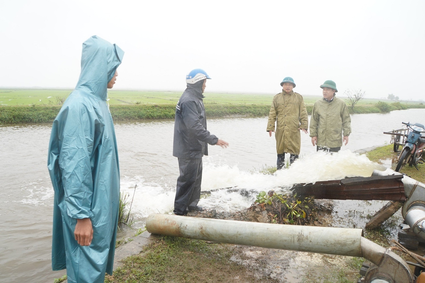 Tập trung chống úng cứu lúa đông xuân tại huyện Phú Vang. Ảnh: CTV
