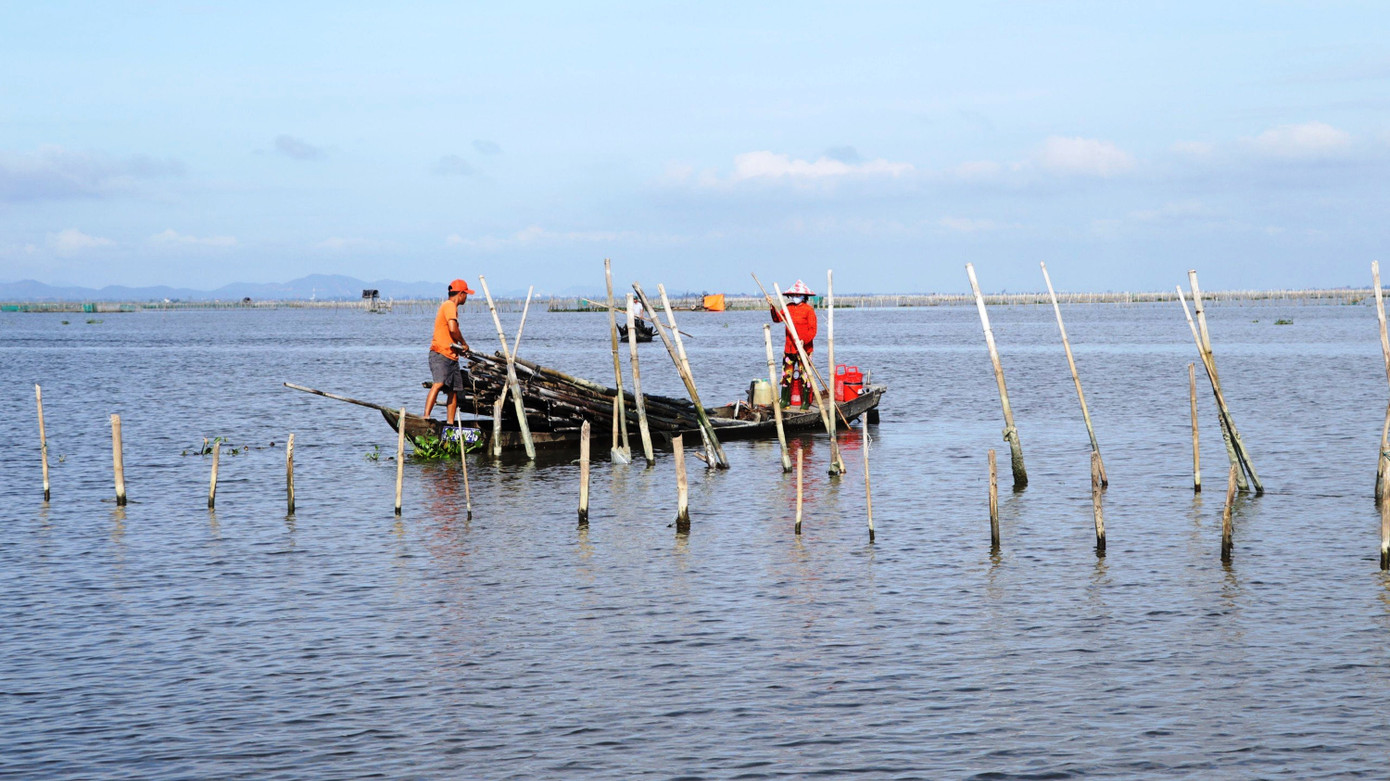 Đến ngày 30/10, riêng tại xã Vinh Hà đã vận động hơn 180 hộ dân ký cam kết tự nguyện tháo dỡ nò sáo tự phát để từng bước giải phóng diện tích mặt nước bị chiếm dụng, vây nuôi trái quy định trên đầm phá.
