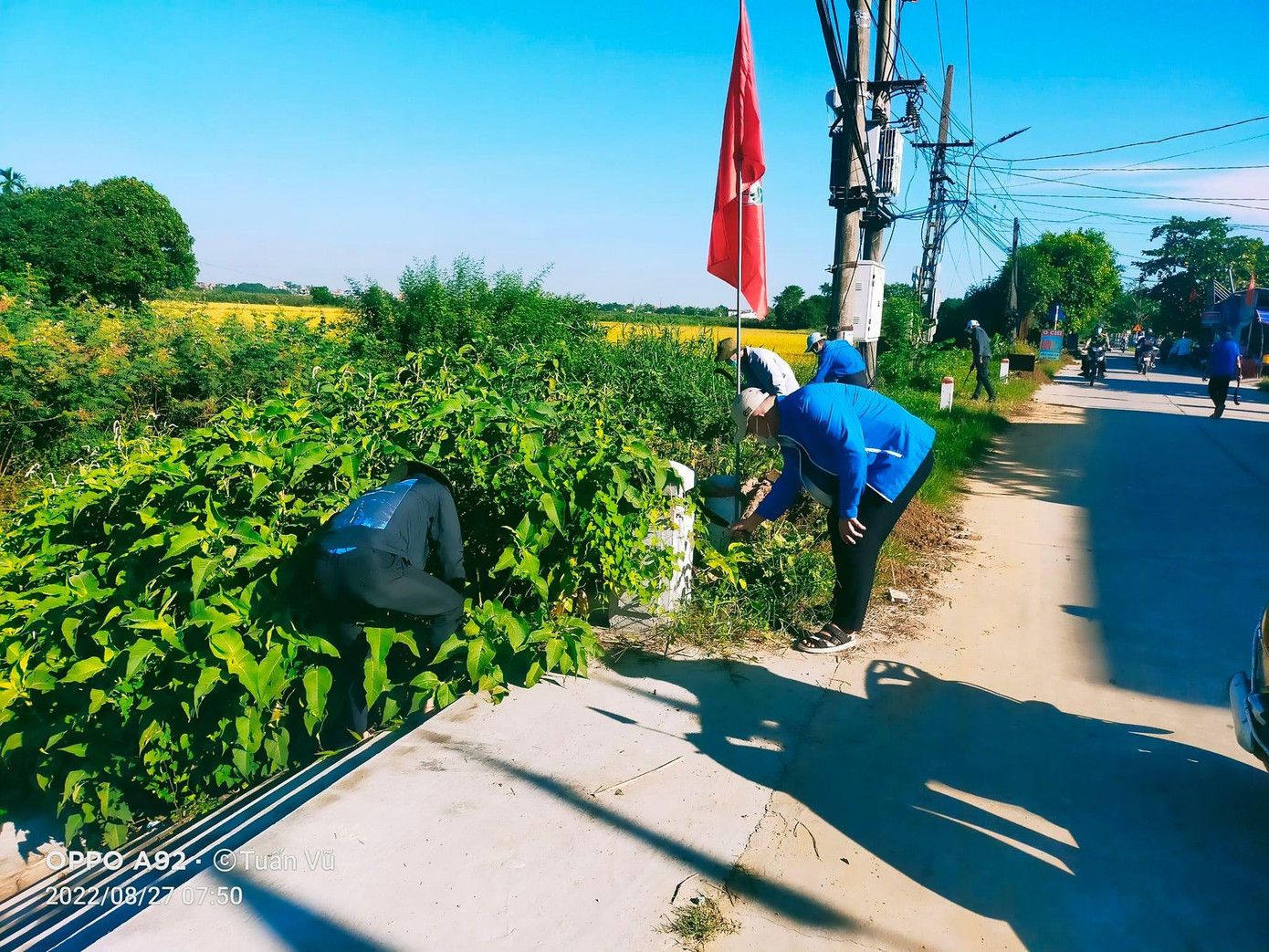Ra quân làm vệ sinh môi trường, triệt phá cây mai dương gây hại. Ảnh: CTV Ra quân làm vệ sinh môi trường, triệt phá cây mai dương gây hại. Ảnh: CTV