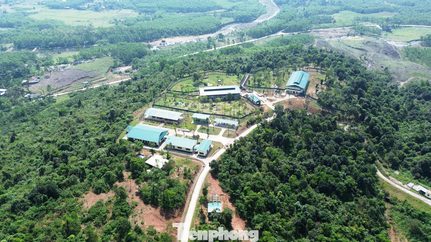 Nhằm đẩy nhanh tiến trình chấm dứt tình trạng nuôi nhốt gấu, các tổ chức bảo tồn và cơ quan chức năng đã tăng cường tuyên truyền, khuyến khích người dân tự nguyện bàn giao gấu. Tuy nhiên, một số ý kiến cho rằng cần có cơ chế hỗ trợ hợp lý như đền bù hoặc chuyển đổi sinh kế để tạo động lực cho người dân giao nộp gấu. Nhằm đẩy nhanh tiến trình chấm dứt tình trạng nuôi nhốt gấu, các tổ chức bảo tồn và cơ quan chức năng đã tăng cường tuyên truyền, khuyến khích người dân tự nguyện bàn giao gấu. Tuy nhiên, một số ý kiến cho rằng cần có cơ chế hỗ trợ hợp lý như đền bù hoặc chuyển đổi sinh kế để tạo động lực cho người dân giao nộp gấu.