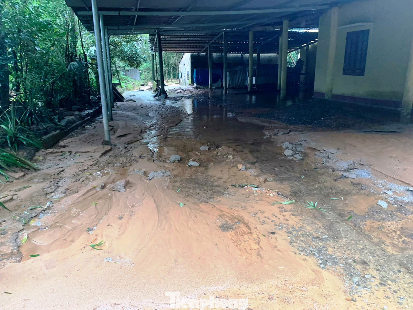 Chiều 4/11, thông tin từ UBND xã Lộc Tiến (huyện Phú Lộc, TT-Huế) cho biết, chính quyền địa phương đang theo dõi sát tình hình sạt lở núi Phú Gia để thực hiện công tác ứng phó, di dời dân, bảo đảm an toàn cho các hộ gia đình sinh sống trong vùng thường xuyên chịu ảnh hưởng của thiên tai.