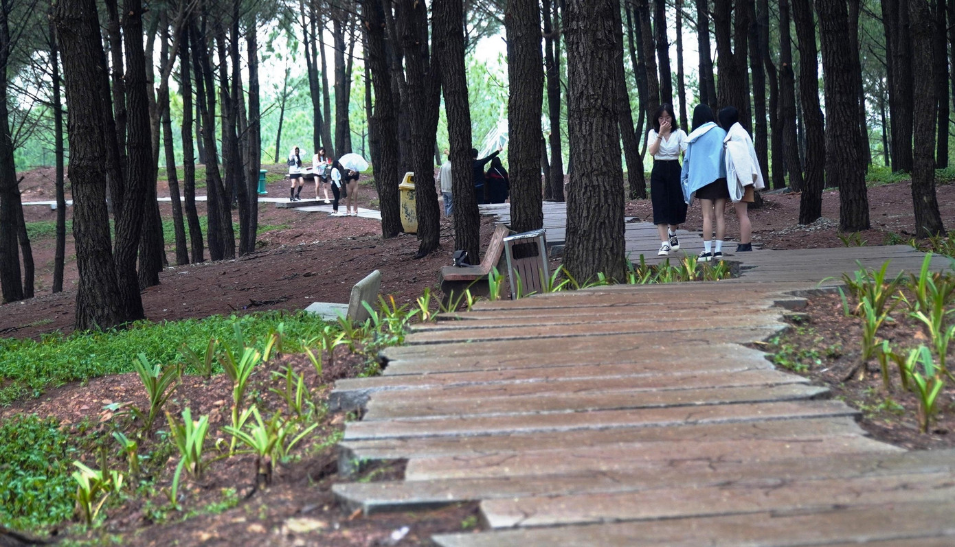 Đồng thời, nghiên cứu triển khai hệ thống đường dạo khu vực tiếp giáp bờ sông, kết nối đi bộ từ đỉnh đồi Vọng xuống sông Hương, với yêu cầu phải bảo đảm giữ sự hài hòa với không gian cảnh quan chung quanh.