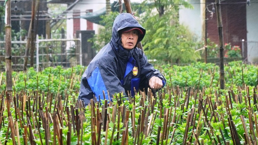 Huế xuất hiện mưa rét như mùa đông dù đã bước sang thời điểm giữa tháng 4.