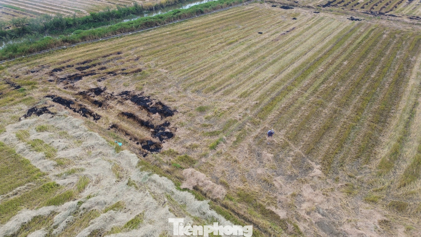 Mới đây, tại phường Hương Chữ (thị xã Hương Trà), chính quyền địa phương đã “mạnh tay” xử phạt vi phạm hành chính đối với 5 hộ dân có hành vi đốt rơm rạ sau thu hoạch gây ô nhiễm môi trường. Mỗi trường hợp đã bị xử phạt mỗi người 2,5 triệu đồng theo quy định về bảo vệ môi trường. Mới đây, tại phường Hương Chữ (thị xã Hương Trà), chính quyền địa phương đã “mạnh tay” xử phạt vi phạm hành chính đối với 5 hộ dân có hành vi đốt rơm rạ sau thu hoạch gây ô nhiễm môi trường. Mỗi trường hợp đã bị xử phạt mỗi người 2,5 triệu đồng theo quy định về bảo vệ môi trường.