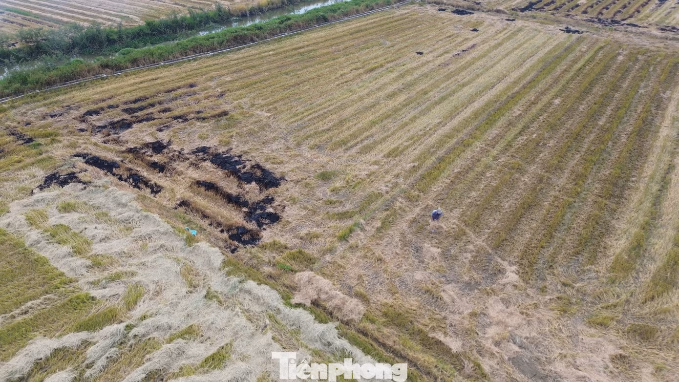 Mới đây, tại phường Hương Chữ (thị xã Hương Trà), chính quyền địa phương đã “mạnh tay” xử phạt vi phạm hành chính đối với 5 hộ dân có hành vi đốt rơm rạ sau thu hoạch gây ô nhiễm môi trường. Mỗi trường hợp đã bị xử phạt mỗi người 2,5 triệu đồng theo quy định về bảo vệ môi trường. Mới đây, tại phường Hương Chữ (thị xã Hương Trà), chính quyền địa phương đã “mạnh tay” xử phạt vi phạm hành chính đối với 5 hộ dân có hành vi đốt rơm rạ sau thu hoạch gây ô nhiễm môi trường. Mỗi trường hợp đã bị xử phạt mỗi người 2,5 triệu đồng theo quy định về bảo vệ môi trường.