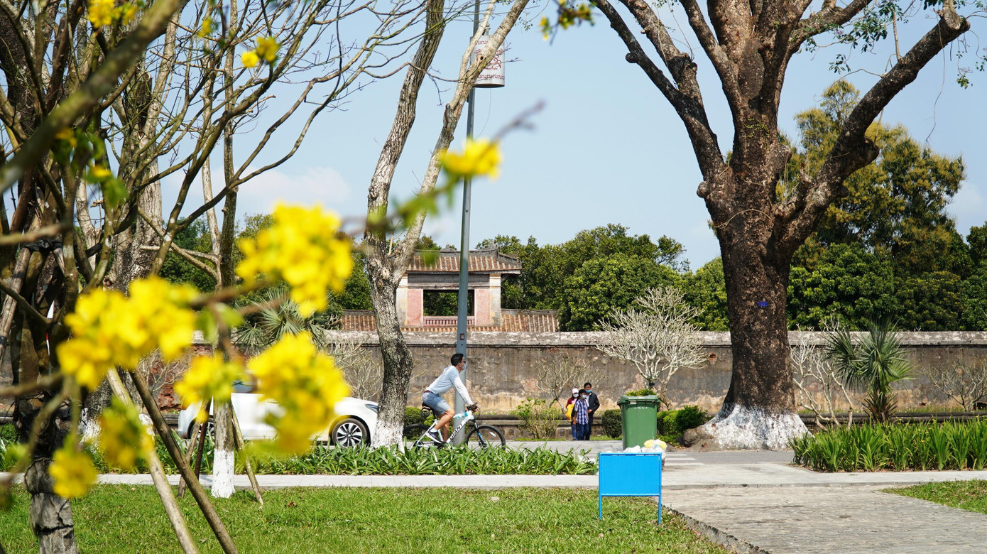 Đường 23/8 phía trước Đại nội Huế sẽ là nơi để du khách trải nghiệm, tản bộ về đêm Đường 23/8 phía trước Đại nội Huế sẽ là nơi để du khách trải nghiệm, tản bộ về đêm