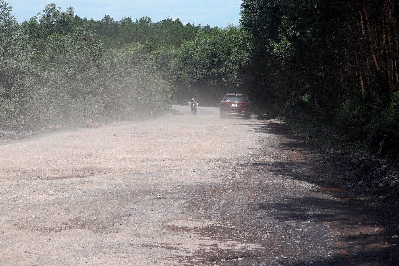 Chính quyền địa phương của các xã Phong Xuân, phường Phong Thu (cũ) trước đây từng nhiều lần kiến nghị các cơ quan chức năng của thành phố quan tâm đầu tư nâng cấp, duy tu bảo dưỡng. Tuy nhiên, thực trạng hư hỏng trên tuyến Tỉnh lộ 9 vẫn chưa được cải thiện. Chính quyền địa phương của các xã Phong Xuân, phường Phong Thu (cũ) trước đây từng nhiều lần kiến nghị các cơ quan chức năng của thành phố quan tâm đầu tư nâng cấp, duy tu bảo dưỡng. Tuy nhiên, thực trạng hư hỏng trên tuyến Tỉnh lộ 9 vẫn chưa được cải thiện.
