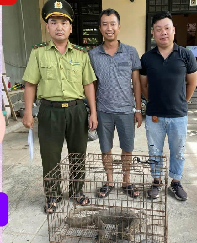 Cá thể kỳ đà vân thời điểm được người dân giao nộp cho cơ quan kiểm lâm. Cá thể kỳ đà vân thời điểm được người dân giao nộp cho cơ quan kiểm lâm.