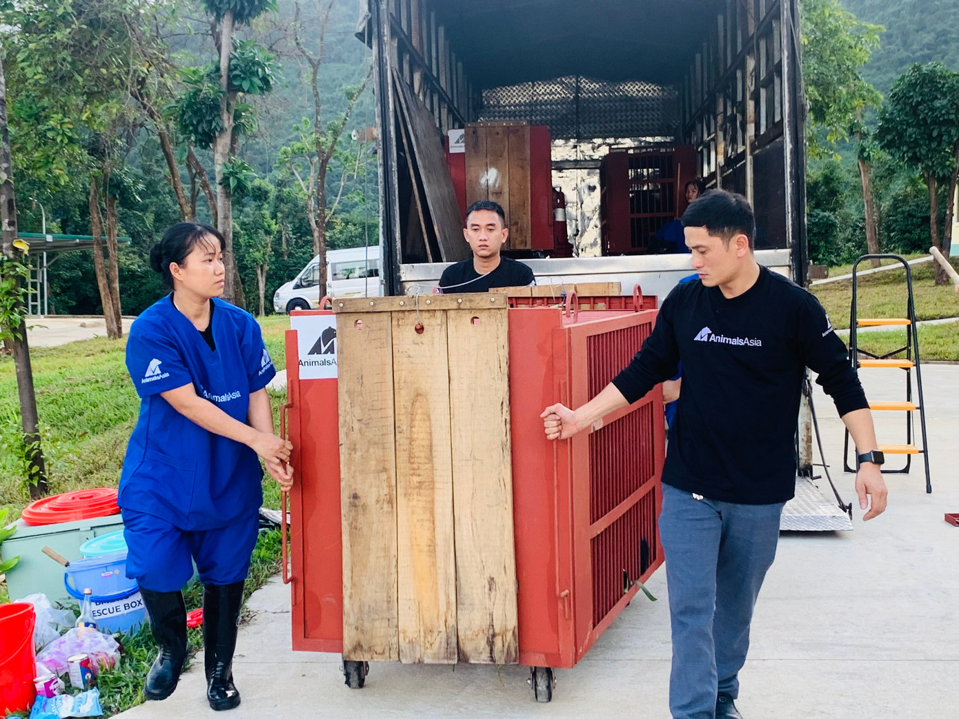 3 gấu ngựa chuyển về Huế lần này đều có nguồn gốc hợp pháp. Ảnh: VQGBM 3 gấu ngựa chuyển về Huế lần này đều có nguồn gốc hợp pháp. Ảnh: VQGBM