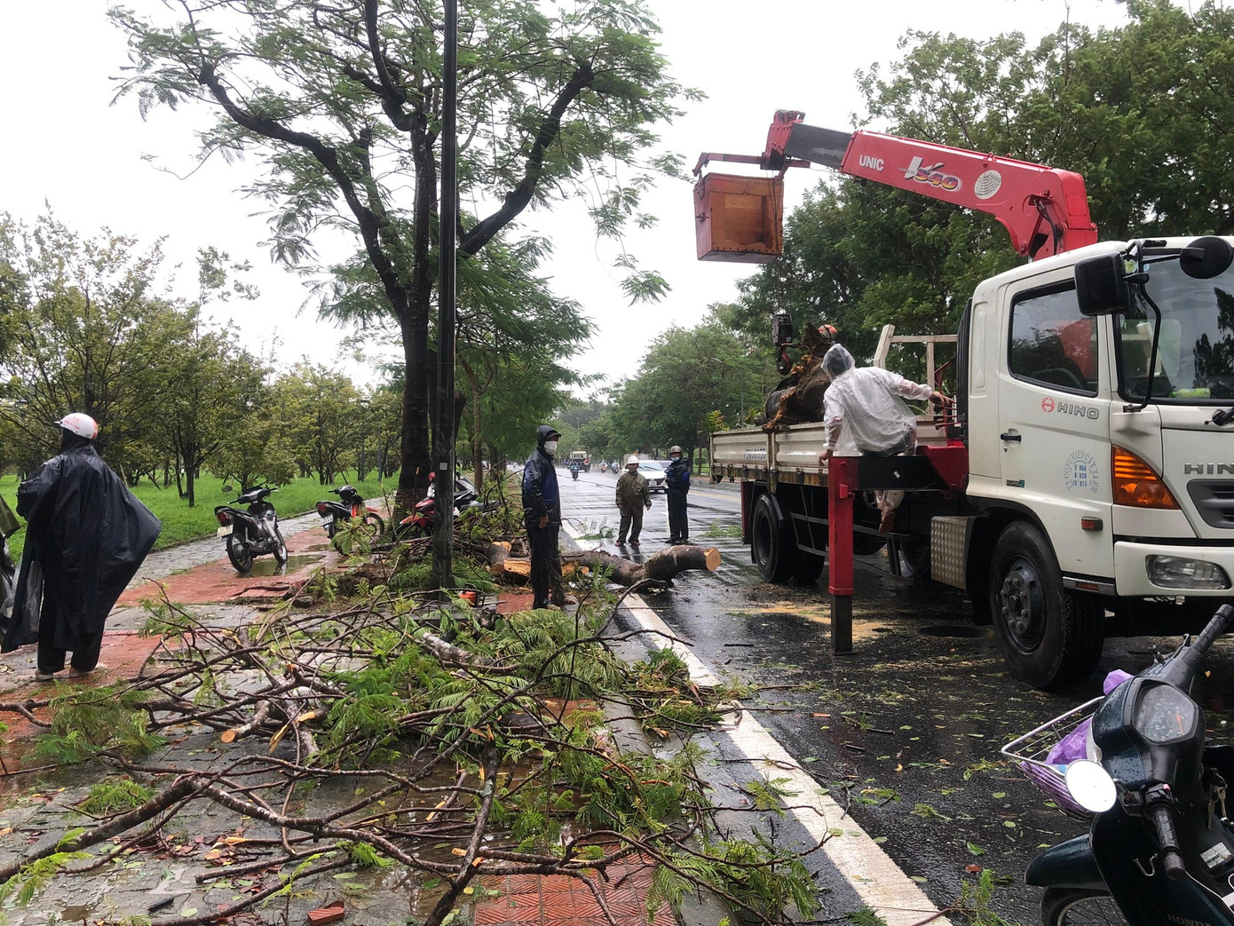 Thu dọn cây xanh đổ ngã trên đường phố Huế do gió to, mưa lớn Thu dọn cây xanh đổ ngã trên đường phố Huế do gió to, mưa lớn