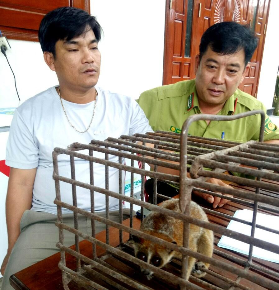 Cơ quan kiểm lâm tiếp nhận động vật hoang dã do người dân tự nguyện giao nộp Cơ quan kiểm lâm tiếp nhận động vật hoang dã do người dân tự nguyện giao nộp