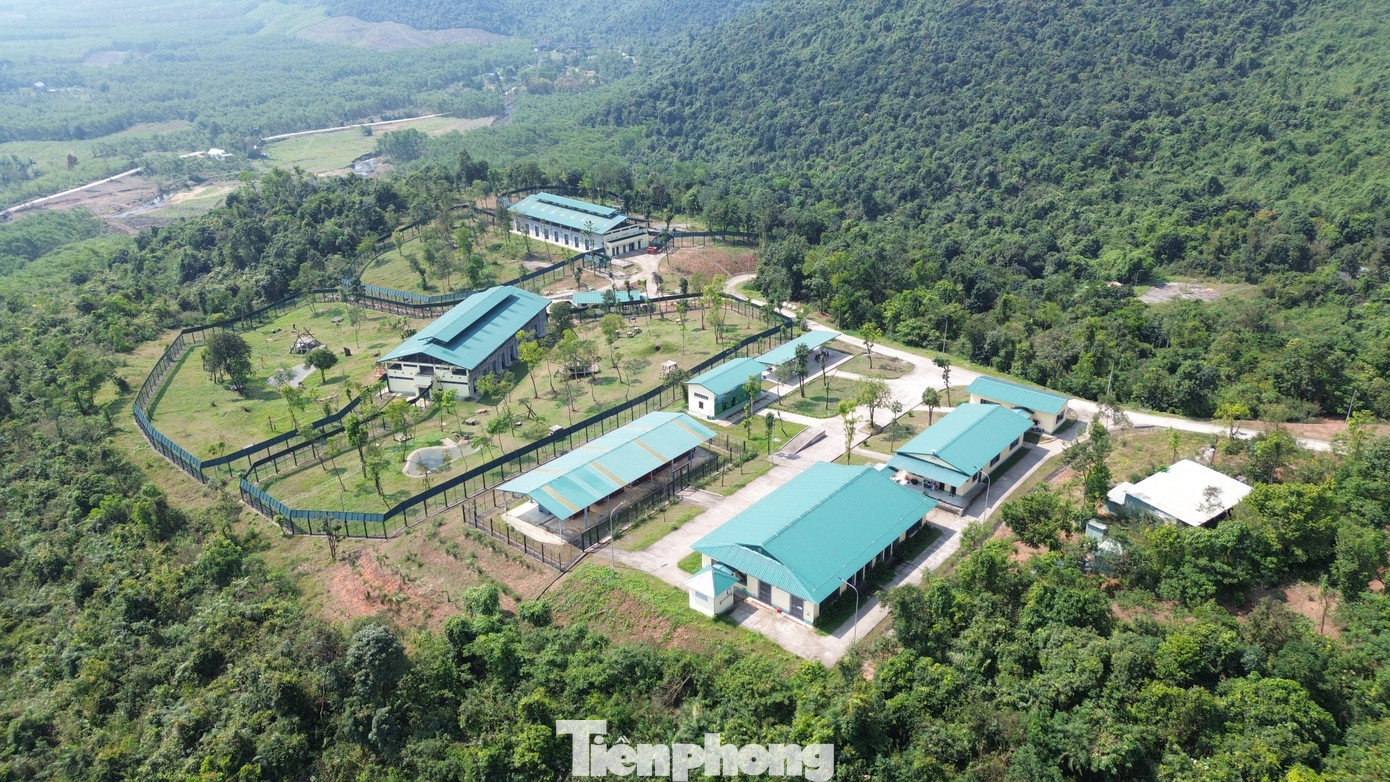 Trung tâm Cứu hộ gấu tại Vườn Quốc gia Bạch Mã hiện vẫn chờ đón những cá thể gấu bị nuôi nhốt sớm được chuyển giao để chúng có cơ hội sống trong môi trường bán tự nhiên, với điều kiện chăm sóc tối ưu. Tuy nhiên, với thực tế hiện nay, để điều đó thành hiện thực không chỉ cần sự quyết liệt trong công tác quản lý của cơ quan chức năng, mà phải có những chính sách hỗ trợ phù hợp, để người dân sẵn sàng bàn giao gấu nuôi nhốt. Trung tâm Cứu hộ gấu tại Vườn Quốc gia Bạch Mã hiện vẫn chờ đón những cá thể gấu bị nuôi nhốt sớm được chuyển giao để chúng có cơ hội sống trong môi trường bán tự nhiên, với điều kiện chăm sóc tối ưu. Tuy nhiên, với thực tế hiện nay, để điều đó thành hiện thực không chỉ cần sự quyết liệt trong công tác quản lý của cơ quan chức năng, mà phải có những chính sách hỗ trợ phù hợp, để người dân sẵn sàng bàn giao gấu nuôi nhốt.