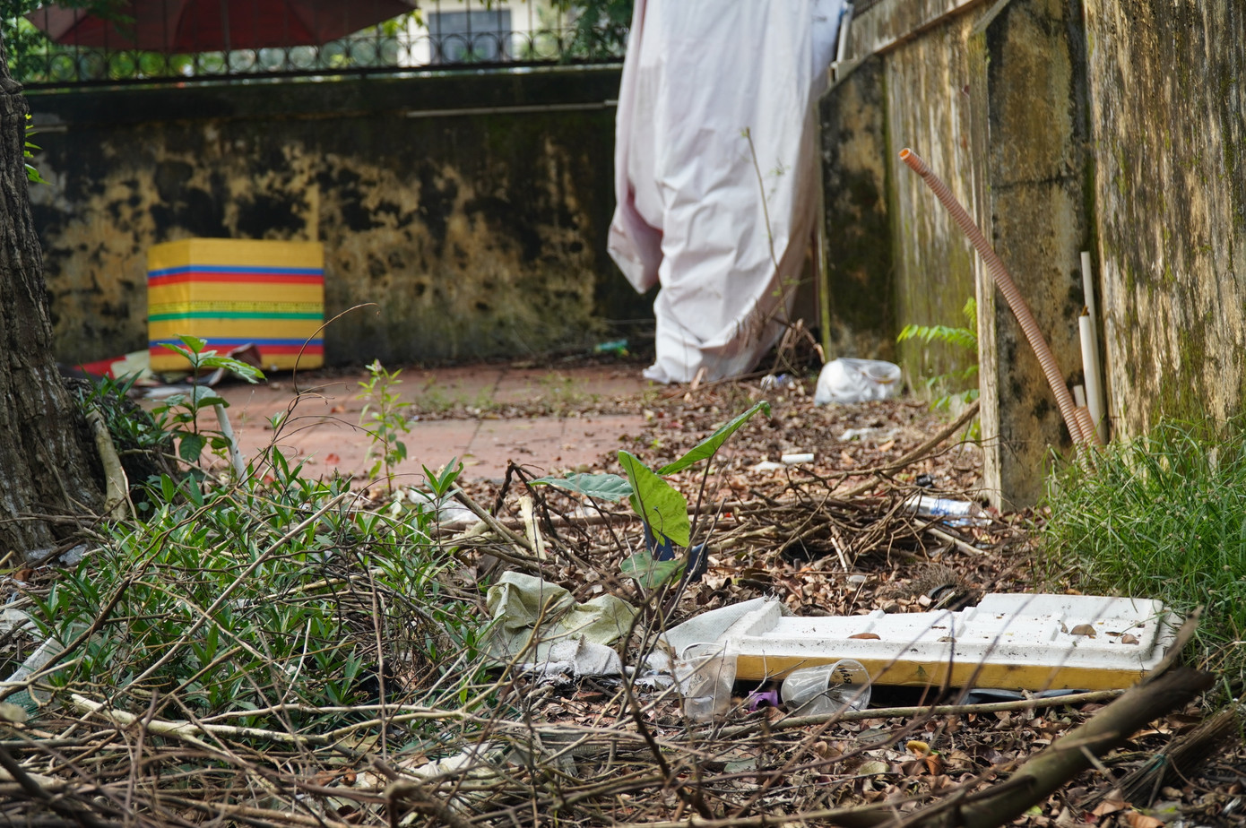 Theo lãnh đạo Trung tâm Bảo tồn Di tích Cố đô Huế, để chống xuống cấp, phát huy giá trị của ngôi nhà, đơn vị hiện xây dựng phương án cải tạo không gian công trình trở thành trung tâm giáo dục di sản cho thế hệ trẻ.