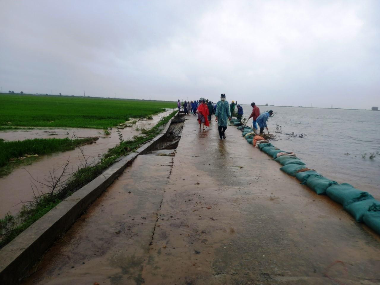 Lực lượng bộ đội đã huy động hàng ngàn bao chứa cát đưa ra ruộng đồng ngập lũ để tổ chức đắp đê ngăn nước ảnh hưởng đến đồng lúa.