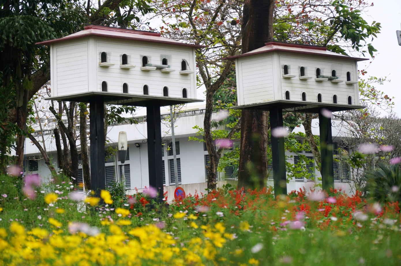 Khung cảnh bình yên nơi công viên xứ Huế ngày Tết. Khung cảnh bình yên nơi công viên xứ Huế ngày Tết.