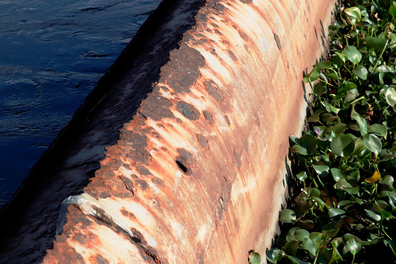 Tuy nhiên, theo thời gian và do nằm ở vị trí có điều kiện tự nhiên không thuận lợi, nên công trình Thảo Long bị xuống cấp, hư hỏng ở nhiều hạng mục.