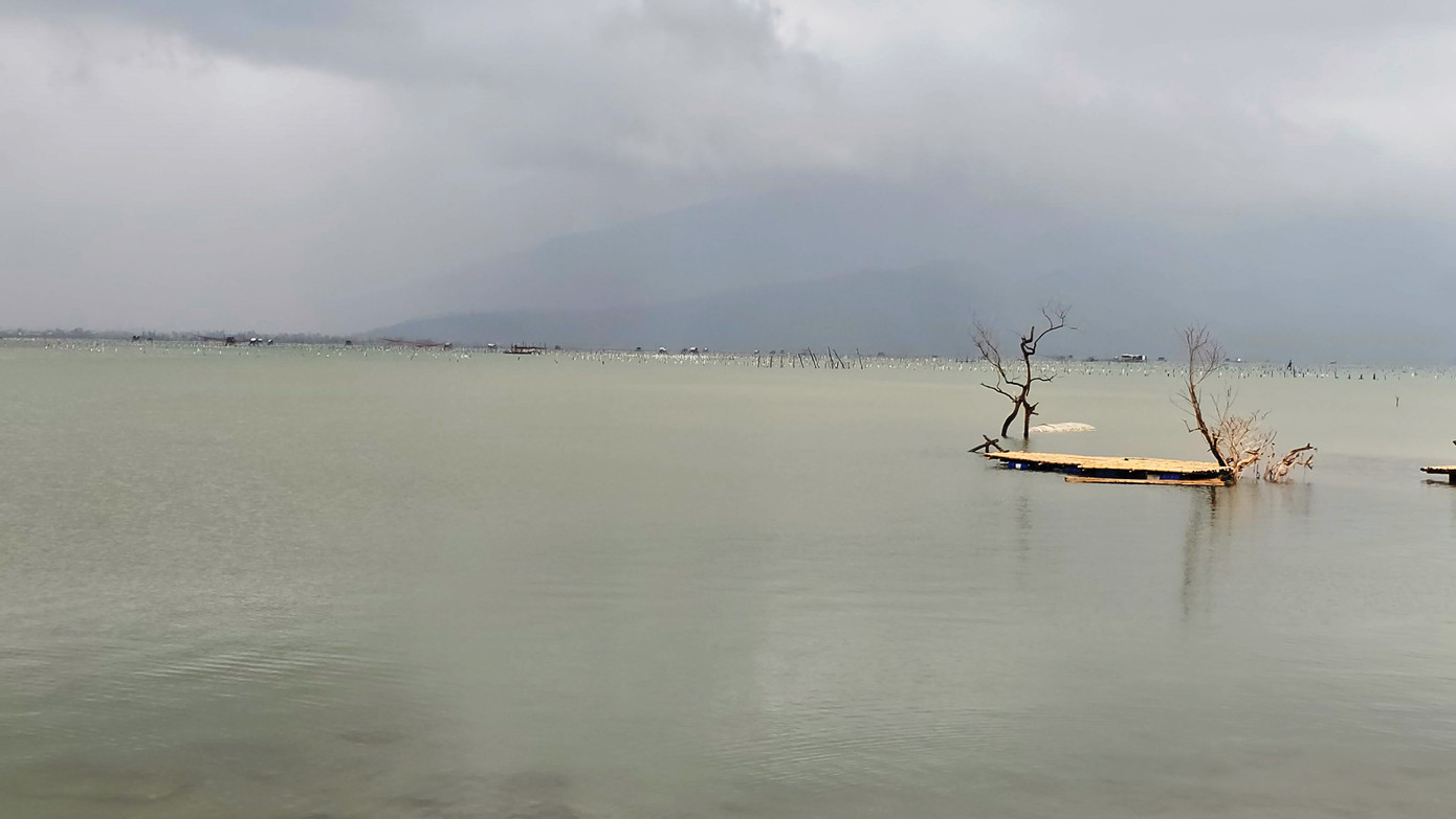 Hồi kết cho nghề nuôi hàu 'lạ lùng' bằng vỏ lốp cao su ảnh 5